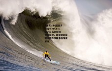 B体育 (中国)官方网站-APP_B Sports-朱艺解读罚单风波，比赛官员疑遭安德森顶撞事件深度解析