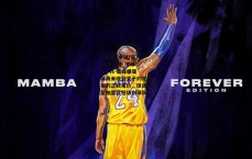 B体育 (中国)官方网站-APP_B Sports-葡媒曝葡体尚未收到关于约克雷斯的正式报价，球员渴望加盟欧冠级别球队