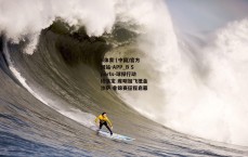B体育 (中国)官方网站-APP_B Sports-球探行动终落定 库明加飞抵金沙萨 非锦赛征程启幕
